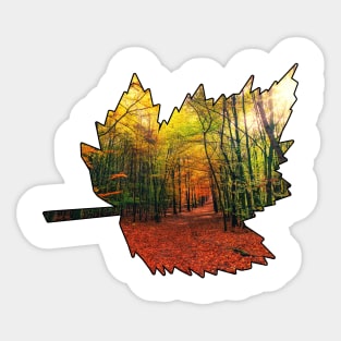 Maple Leaf Outline (Fall Colors) Sticker